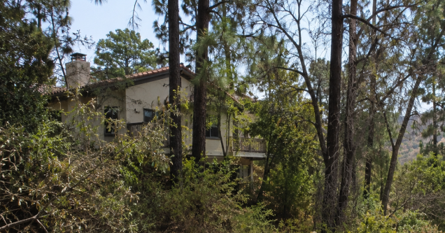 The Hidden Fire Risk in Your Backyard: Overgrown and Neglected Trees