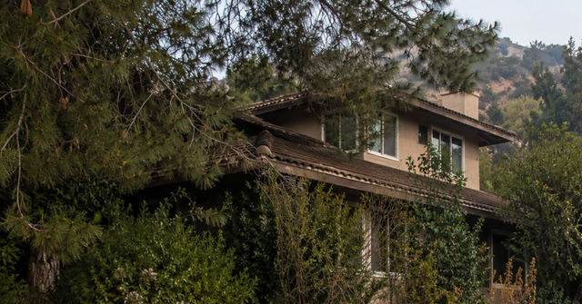 Overgrown trees and dense shrubs near a home in a California fire-risk zone