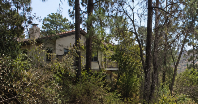 Overgrown trees and dense brush near a California home in a fire-prone area