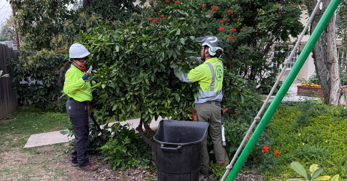 Pesticide Application