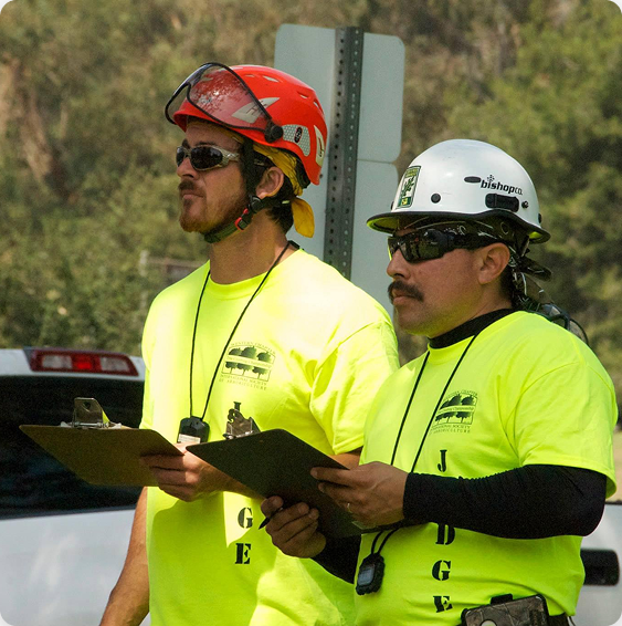 Protect Your Property During Tree Service