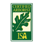 certified arborist